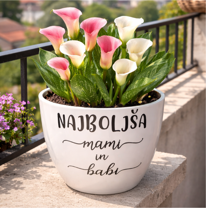 CVETLIČNI LONČEK Najboljša mami in babi